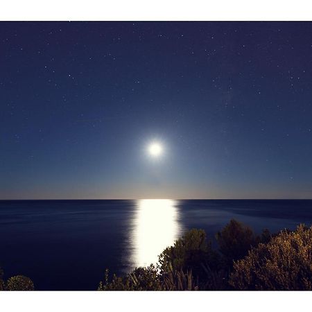 Condo With A Breathtaking View Ντουμπρόβνικ Εξωτερικό φωτογραφία